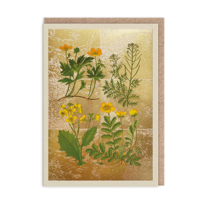 Wild Marsh Flower Collection Card