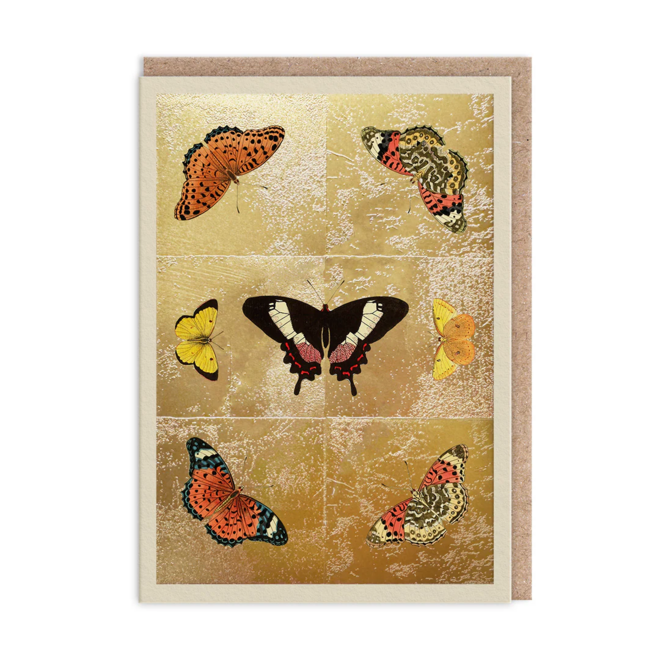 Butterfly Symmetry Card