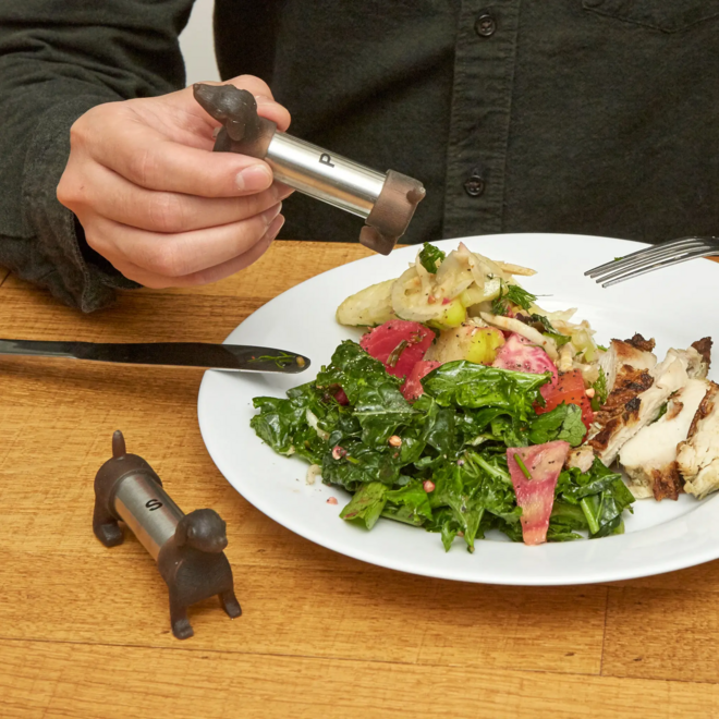 Dachshund Salt & Pepper Shakers