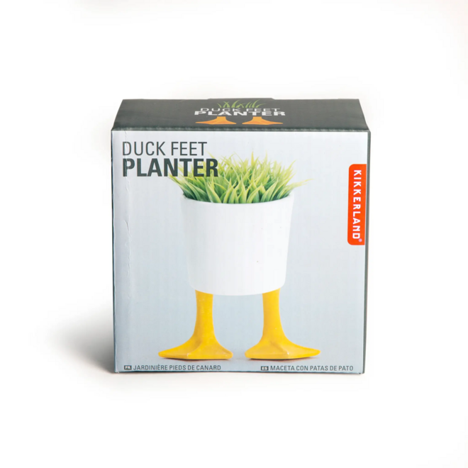 Small Duck Feet Planter