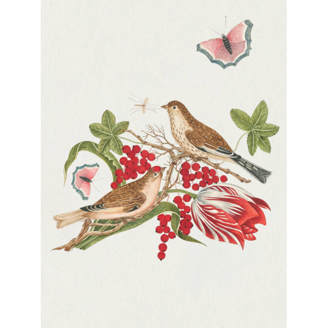 Flowers, Birds, & Butterflies Celebrations Boxed Notecards