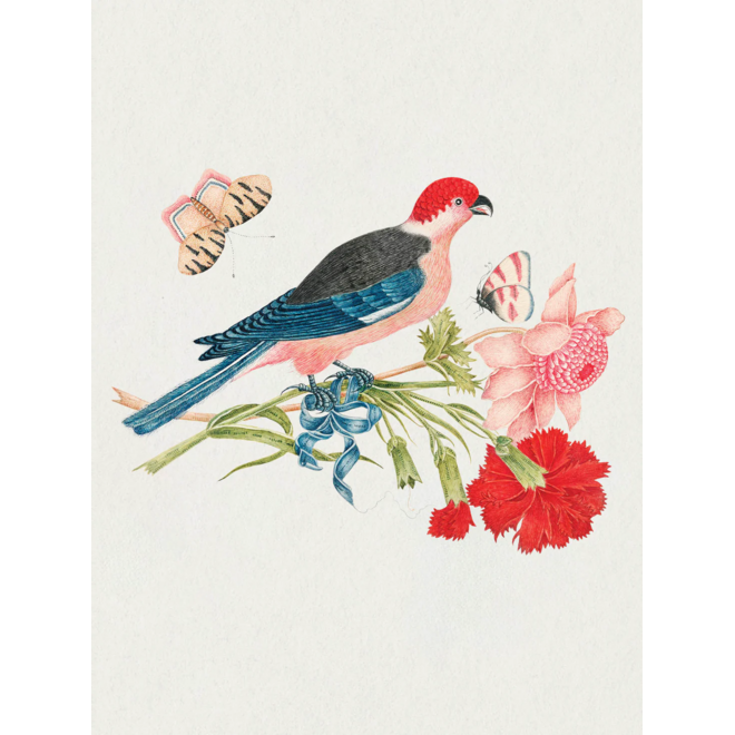 Flowers, Birds, & Butterflies Celebrations Boxed Notecards