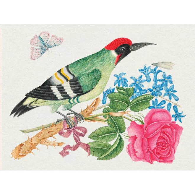 Flowers, Birds, & Butterflies Celebrations Boxed Notecards