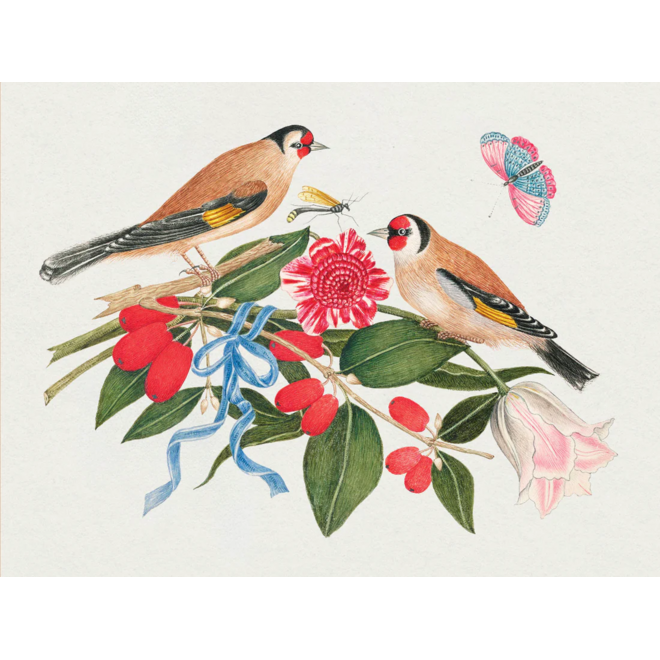 Flowers, Birds, & Butterflies Celebrations Boxed Notecards