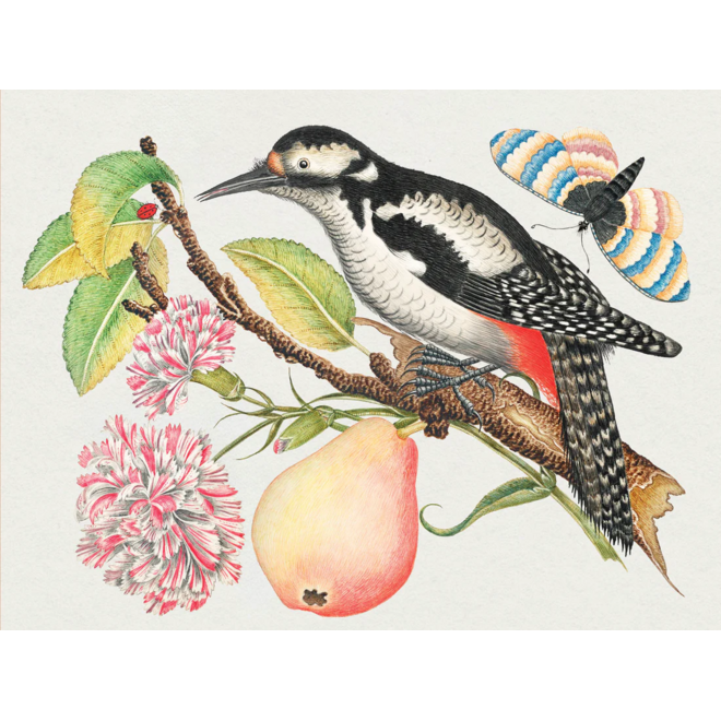 Flowers, Birds, & Butterflies Celebrations Boxed Notecards