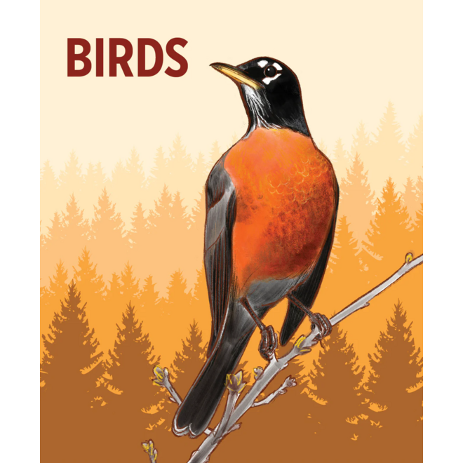 Birds Knowledge Cards