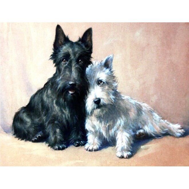 Black & White Greeting Card