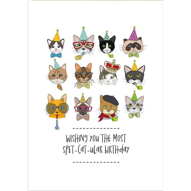 Spet-Cat-Ular Birthday Card
