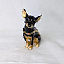 Kingspoint Designs Midnight Chihuahua