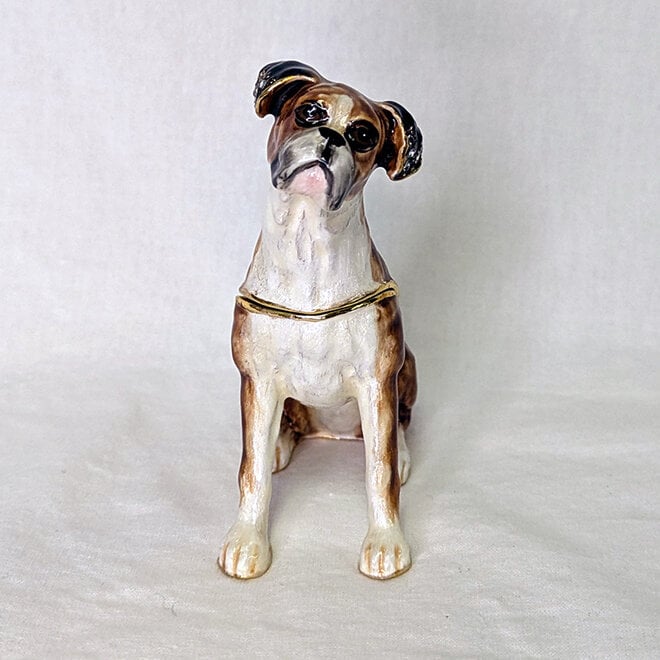 Kingspoint Designs Curious Boxer