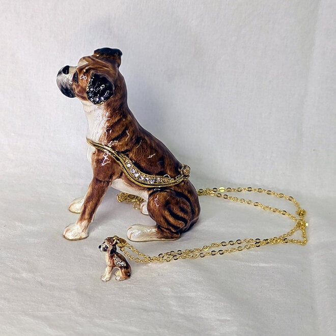 Kingspoint Designs Curious Boxer