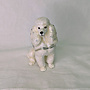 Kingspoint Designs Snowy the Poodle