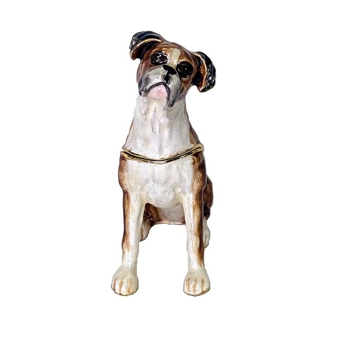 Kingspoint Designs Curious Boxer
