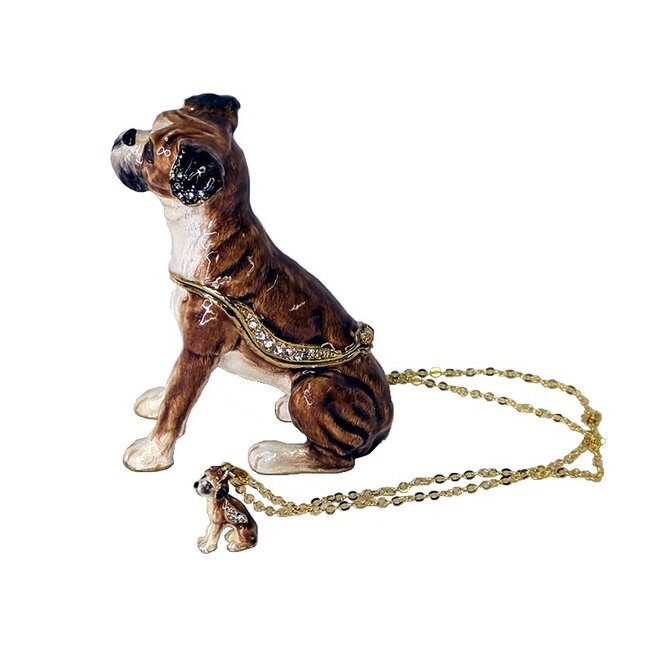 Kingspoint Designs Curious Boxer