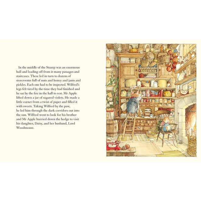 Brambly Hedge: Spring Story