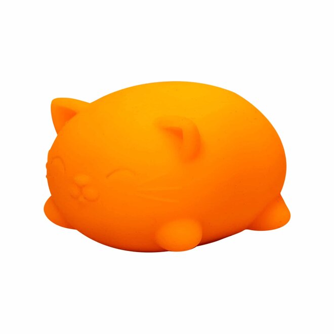 NeeDoh Cool Cats Squishy