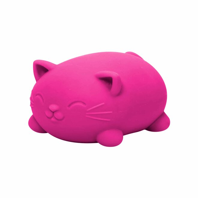 NeeDoh Cool Cats Squishy