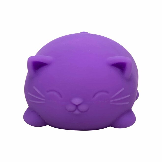 NeeDoh Cool Cats Squishy