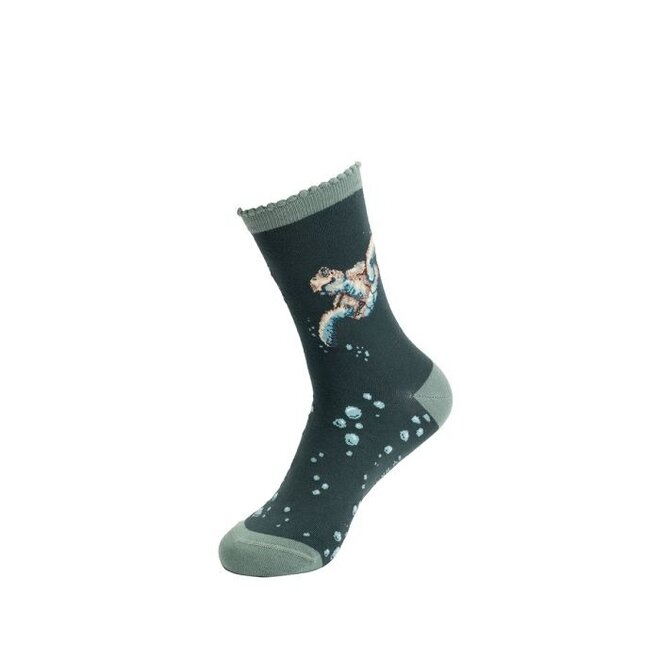 'Swimming School' Turtle Women's Socks