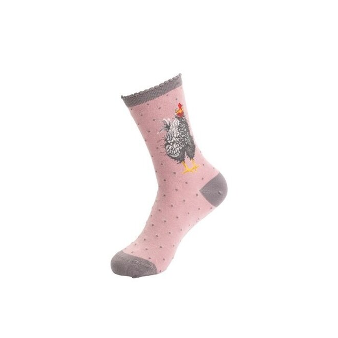 'Curious Hen' Chicken Women's Socks