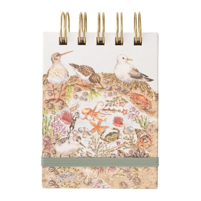 'Secrets of the Sea' Nature Field Notebook