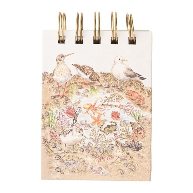 'Secrets of the Sea' Nature Field Notebook