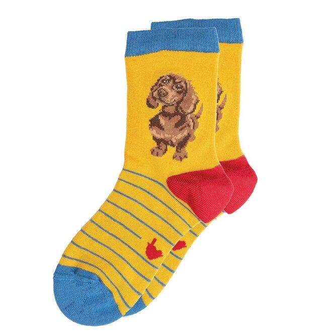 'Little One' Dachshund Children's Socks
