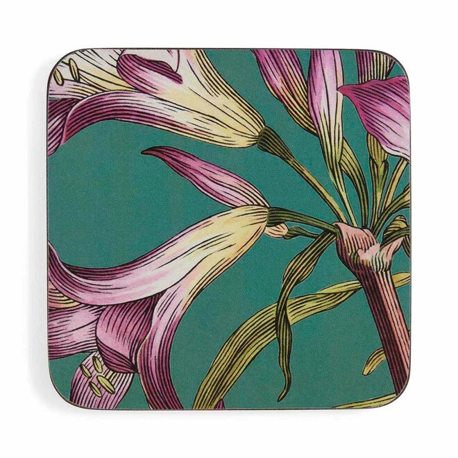Pimpernel Botanic Garden Flora & Fauna Coasters