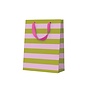 Green & Pink Stripe Medium Gift Bag