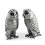 Owl Salt & Pepper Set