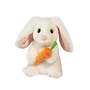 Zen Bunny With Carrot
