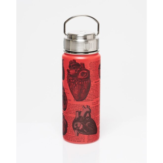 Anatomical Heart Stainless Steel Vacuum Flask