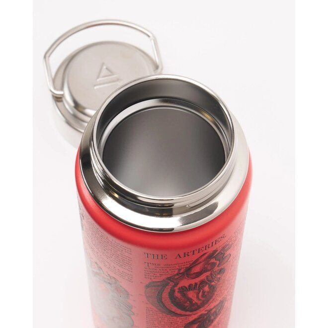 Anatomical Heart Stainless Steel Vacuum Flask