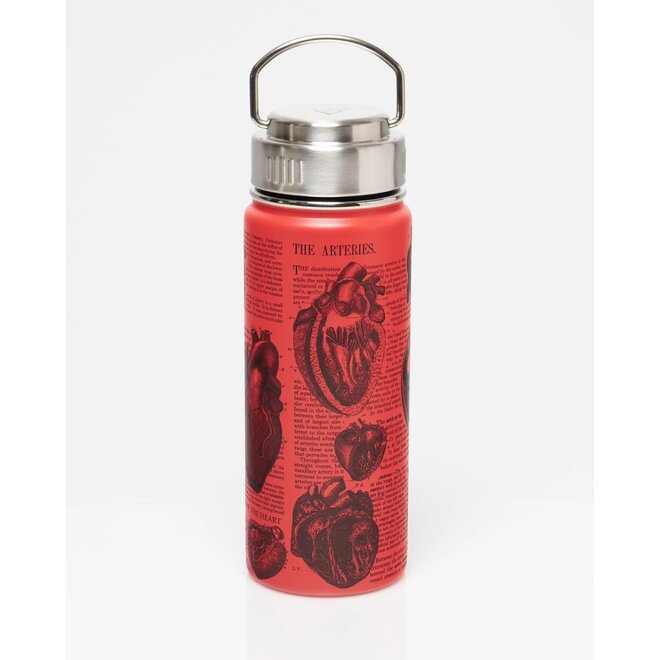 Anatomical Heart Stainless Steel Vacuum Flask