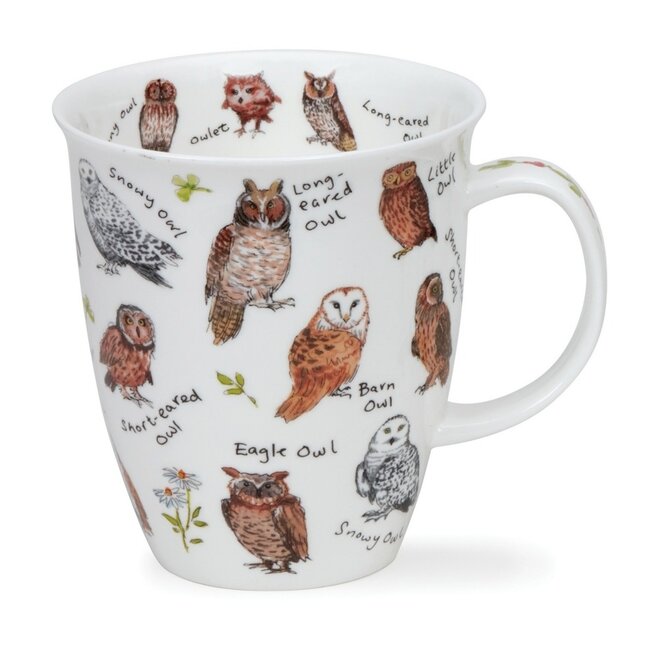 Nevis Bird Life Owls Mug