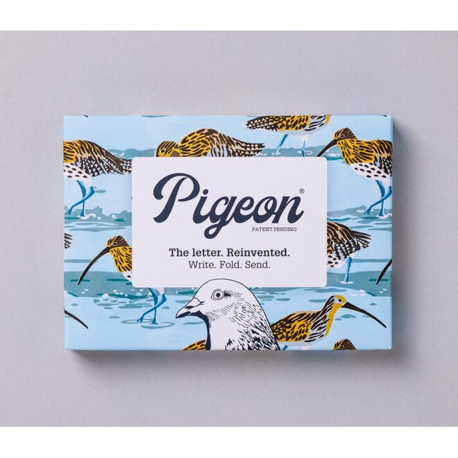 Hebridean Pigeons Stationery Pack