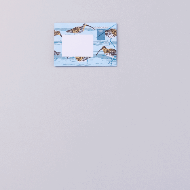 Pigeon Posted Hebridean Pigeons Stationery Pack