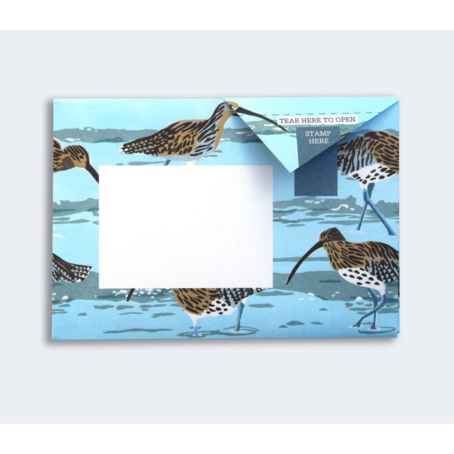 Pigeon Posted Hebridean Pigeons Stationery Pack