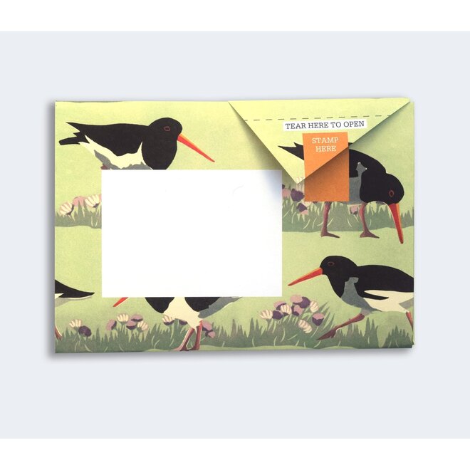 Pigeon Posted Hebridean Pigeons Stationery Pack