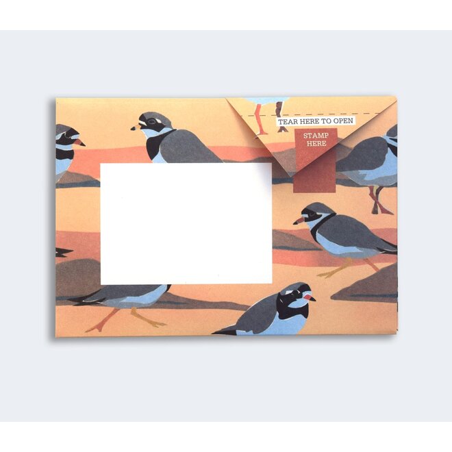 Pigeon Posted Hebridean Pigeons Stationery Pack