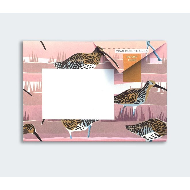 Pigeon Posted Hebridean Pigeons Stationery Pack