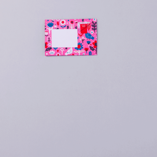 Pigeon Posted Fiesta Pigeons Stationery Pack