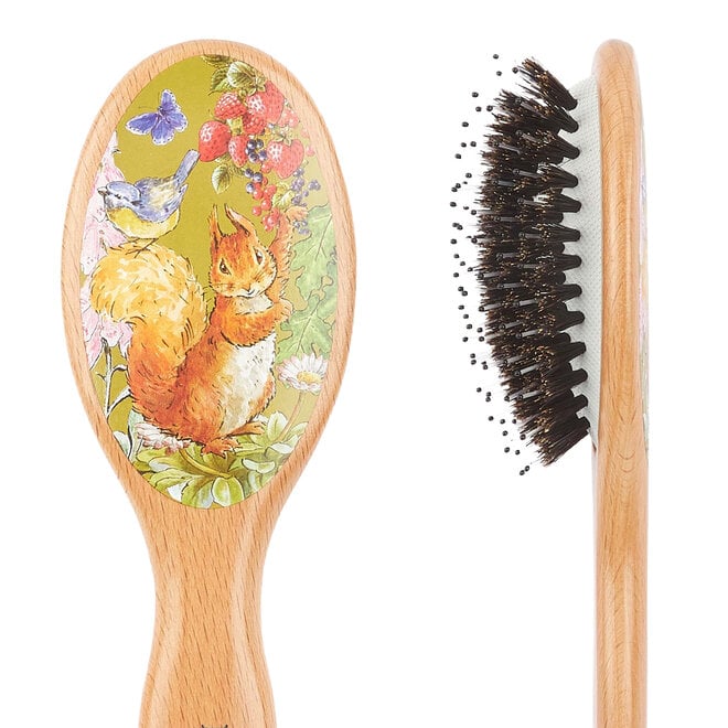 PR02 Peter Rabbit Squirrel Nutkin Nylon Bristle Mix & Beechwood Small Hairbrush