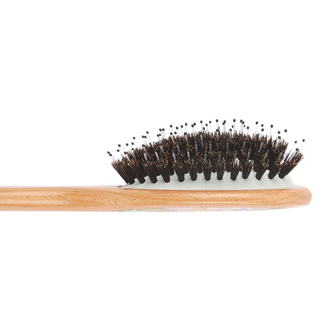 PR02 Peter Rabbit Squirrel Nutkin Nylon Bristle Mix & Beechwood Small Hairbrush