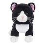 Webkinz Black and White Cat