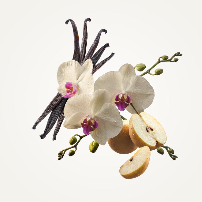 Orchid Perfume 60ml