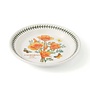 Blossoming States California Poppy Salad Plate