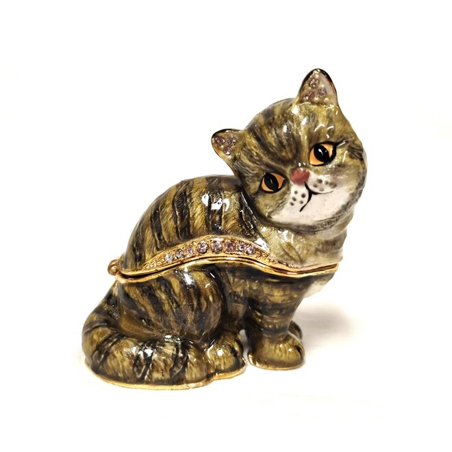 Kingspoint Designs Peekaboo Exotic Cat