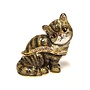 Kingspoint Designs Peekaboo Exotic Cat