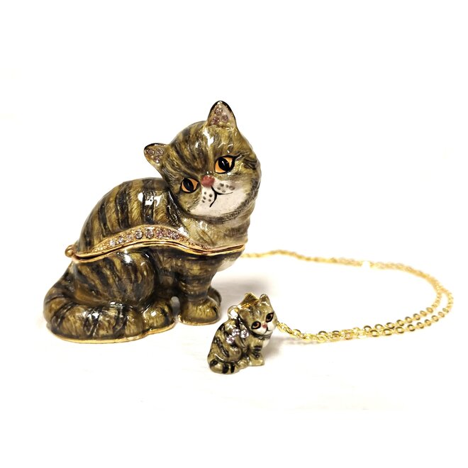 Kingspoint Designs Peekaboo Exotic Cat